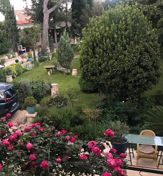 jardin saint rémy de provence